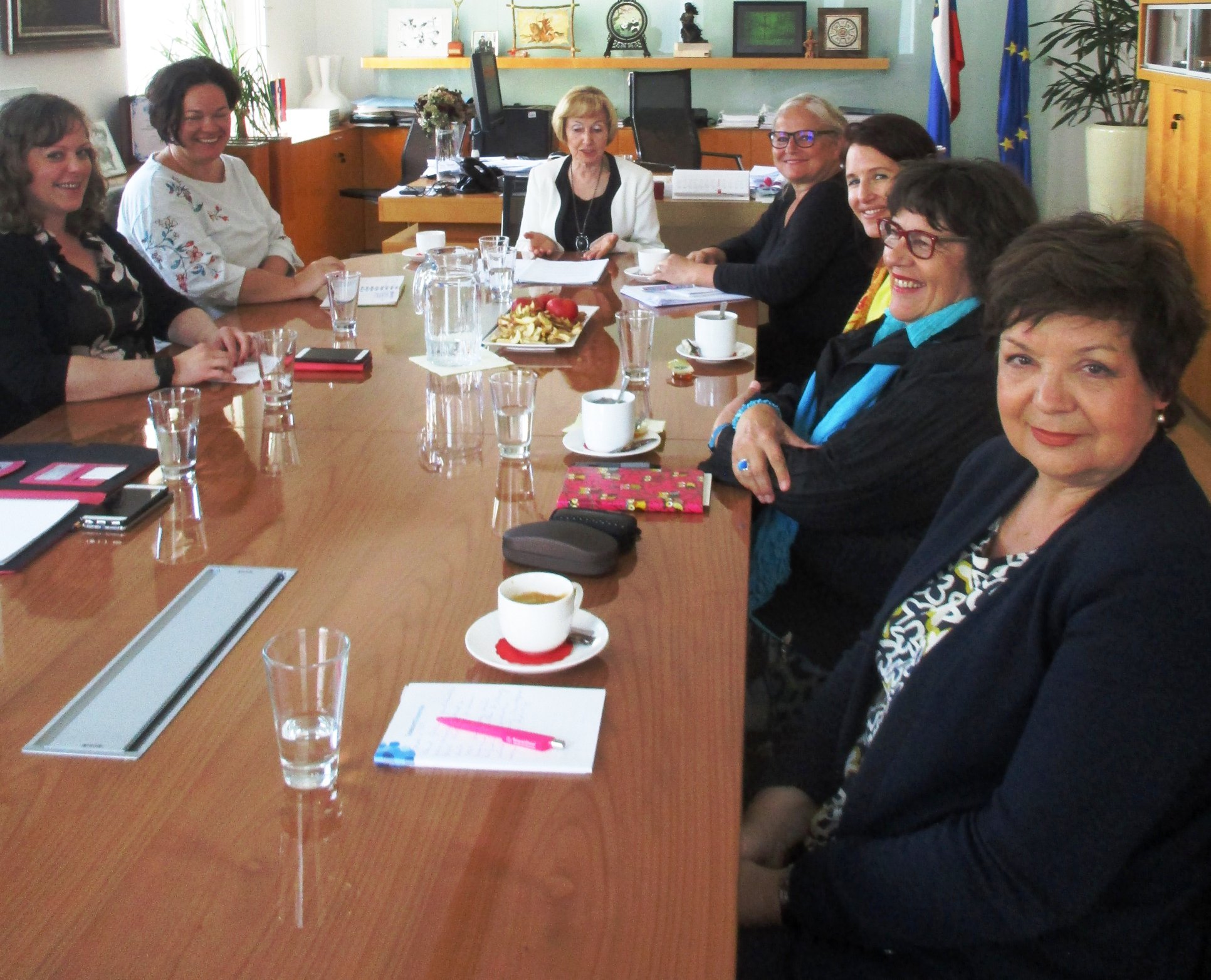 Aktualne razmere v domovih za starejše, civilni nadzor in dolgotrajna oskrba