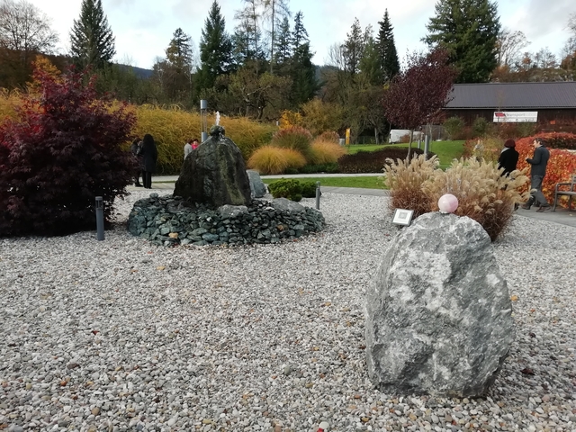 Izjava Srebrne niti ob mednarodnem dnevu starejših